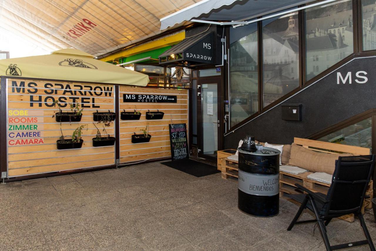 Hostel Ms Sparrow *